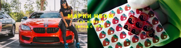 стафф Михайловка