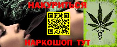 молекула духа Кингисепп