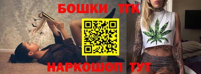 молекула духа Кингисепп