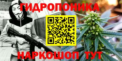 ПСИЛОЦИБИНОВЫЕ ГРИБЫ Кинель