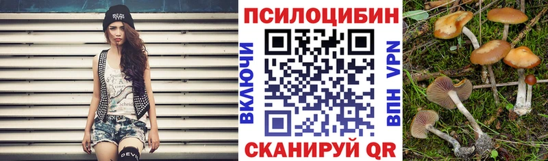 купить наркоту  Кудымкар  Псилоцибиновые грибы Psilocybine cubensis 