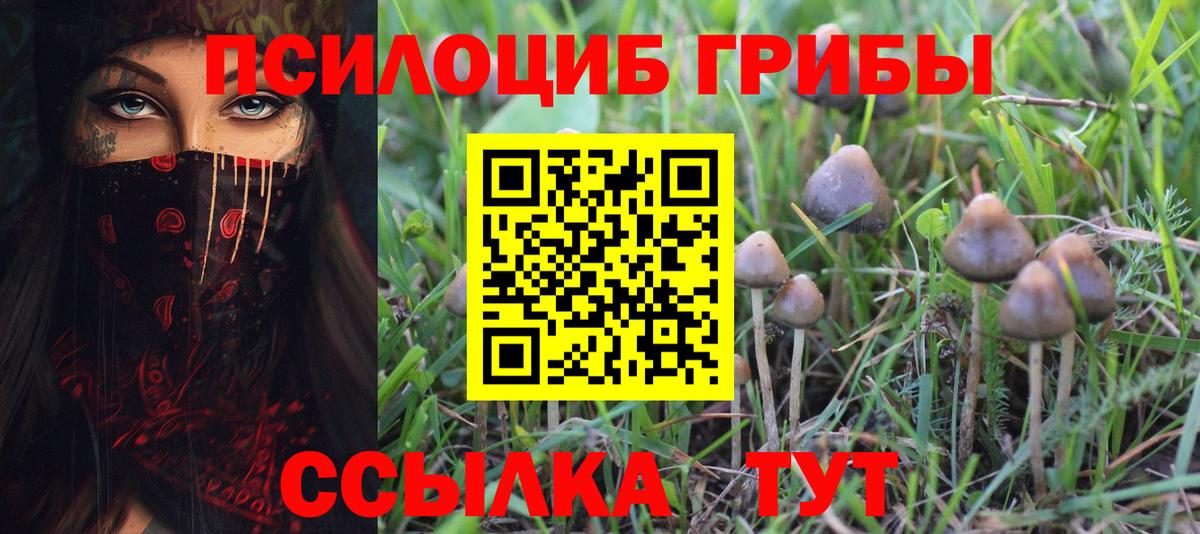 Галлюциногенные грибы Cubensis Кудымкар
