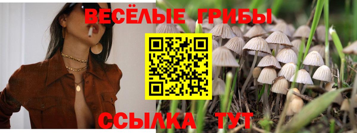 МЕФ Кудымкар