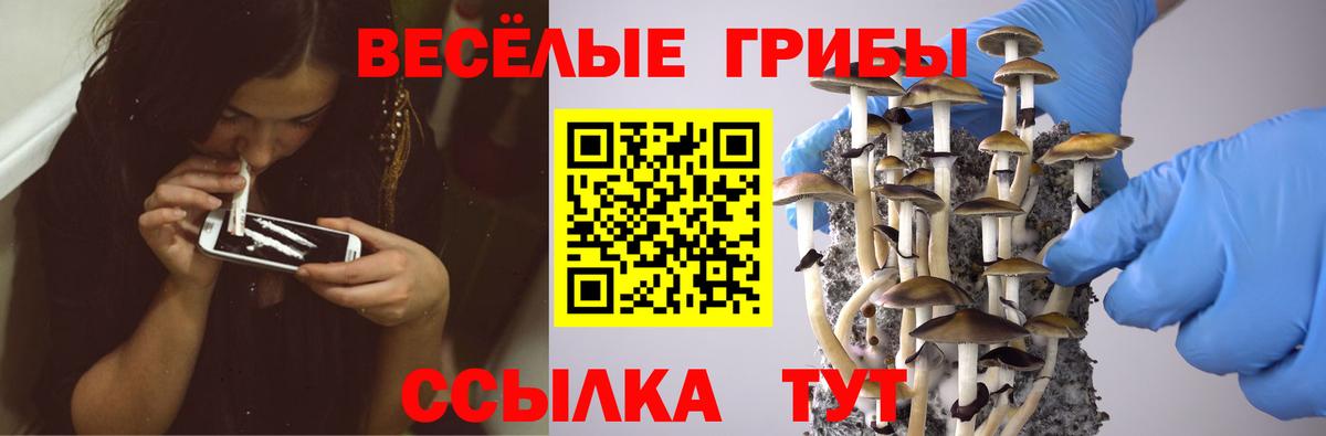 Галлюциногенные грибы ЛСД  Псилоцибиновые грибы Psilocybine cubensis  Кудымкар 