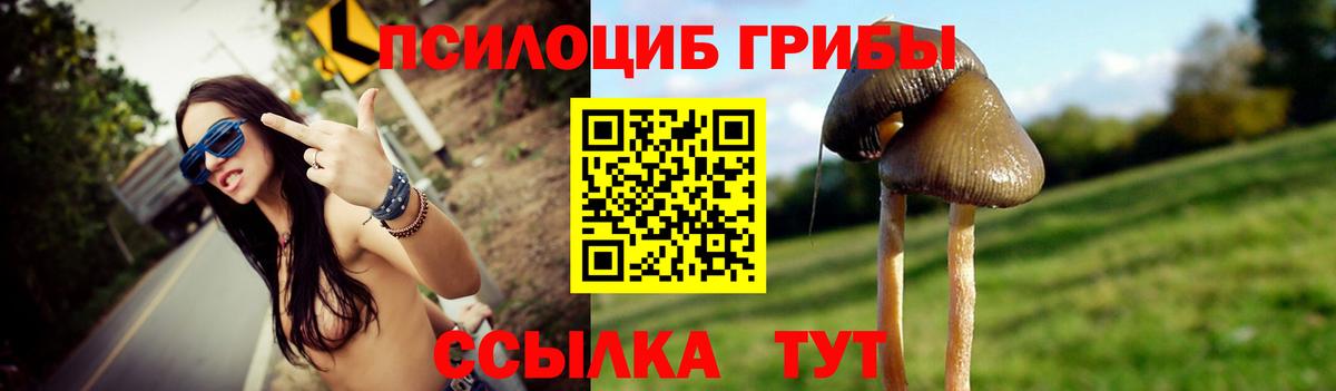 Галлюциногенные грибы Psilocybe  Вход с VPN  наркотики  Псилоцибиновые грибы прущие грибы  Кудымкар 